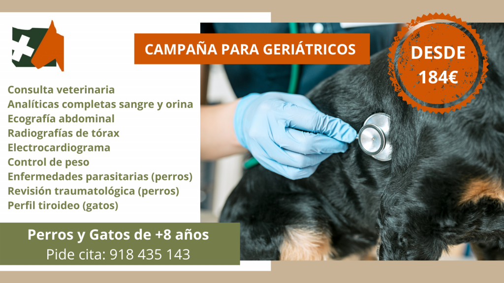 Campaña mascotas mayores - Veterinario Sierra
