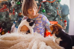 Lee más sobre el artículo Consejos para disfrutar la Navidad con nuestras mascotas sin peligros