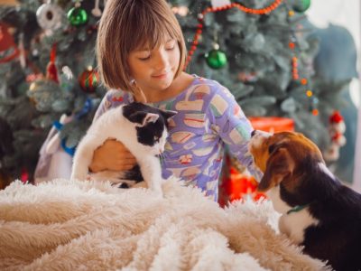 Consejos para disfrutar la Navidad con nuestras mascotas sin peligros