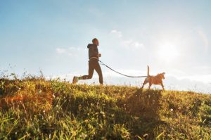 Lee más sobre el artículo Canicross, consejos para disfrutarlo con tu perro