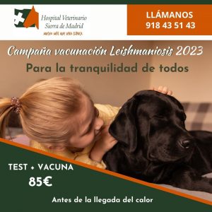 Lee más sobre el artículo Campaña de vacunación de la Leishmaniosis 2023