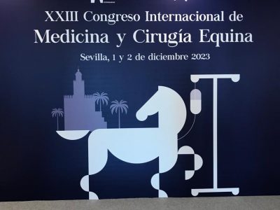 Participamos en el XXIII Congreso Internacional de Medicina y Cirugía Equina